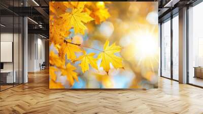 Golden Autumn Leaves with Sunlight Shining Through in a Bright Blue Sky Wall mural