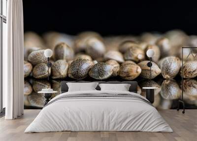 Macro Close-up Focus of Cannabis Marijuana Seeds on a reflective black background Wall mural