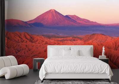 catarpe, licancabur volcano, atacama desert, chile Wall mural