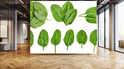 Healthy diet. spinach. greenery. For cooking food. Diet. For your design. isolated. Wall mural