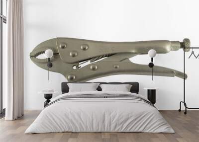 Locking Pliers With Closed Jaws Wall mural