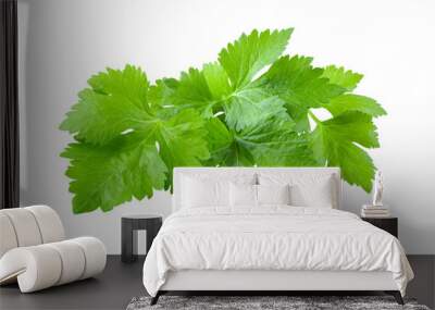 Celery leaf isolated on transparent png Wall mural