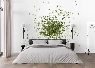 Dried parsley isolated on transparent png Wall mural