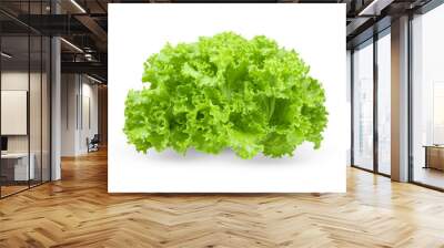 fresh green lettuce salad leaves isolated on transparent png Wall mural