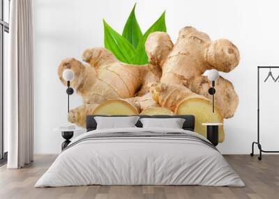 ginger on transparent png Wall mural