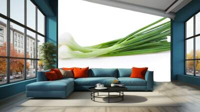 Green onion on the white background Wall mural