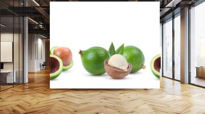 macadamia nuts isolated on white Wall mural