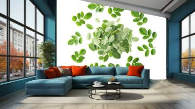 Moringa leaves on transparent png Wall mural