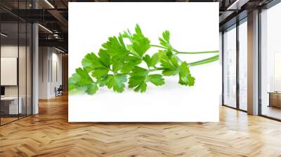 Parsley isolated on a white background Wall mural