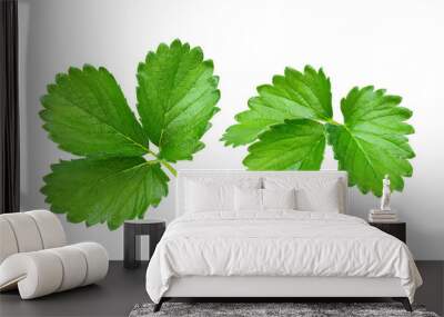 Strawberry leaf isolated on transparent png Wall mural