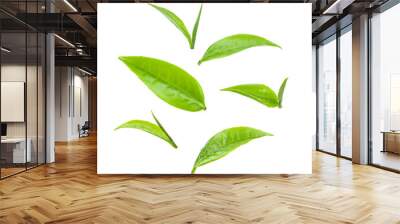 tea leaf on white background Wall mural