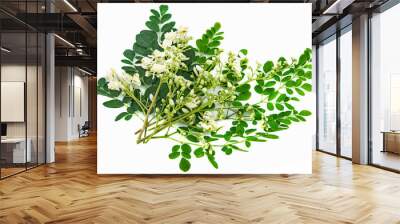 fresh moringa leaves&flowers on a white background Wall mural