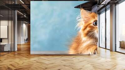 Cute Cat Wearing Graduation Cap. Wall mural