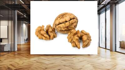 Walnut isolated on transparen png. Wall mural