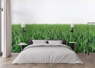 Beautiful grassy field with a blue sky and white clouds in the background. The green meadow is seen from above, creating an endless horizon. Wall mural