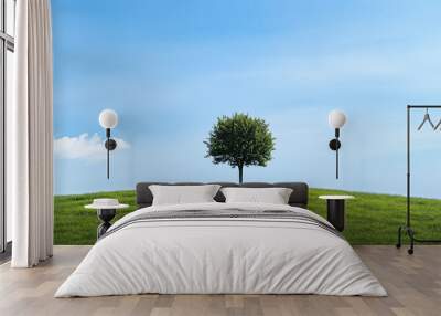 One tree on a green, grassy field with a blue sky background. Wall mural