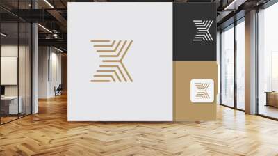 x logo design vector template Wall mural