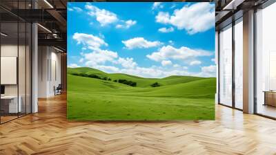 Spring landscape with grass and sky. Wall mural