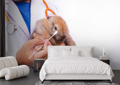 Veterinarian holding a brown rabbit Cleaning, using a cotton swab to wipe away eye discharge. Pet concept. animal disease treatment Wall mural