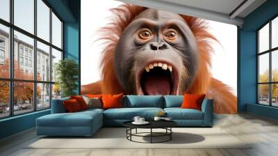 front view of ferocious looking Orangutan animal looking at the camera with mouth open isolated on a transparent background  Wall mural