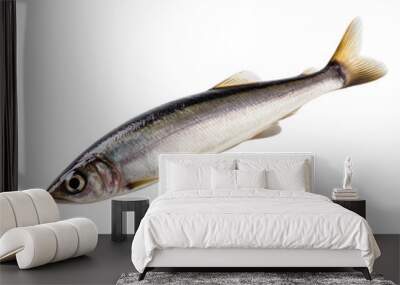 side view of Herring fish isolated on a transparent background, Generative ai Wall mural