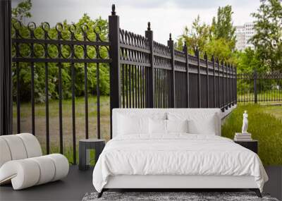 Metal fence in the city park. Decorative black iron guardrail for protection, close up Wall mural