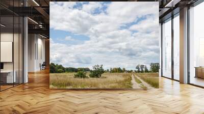 Panoramic photo of summer forest on the horizon against the blue sky. Beautiful landscape of green trees and blue sky background Wall mural