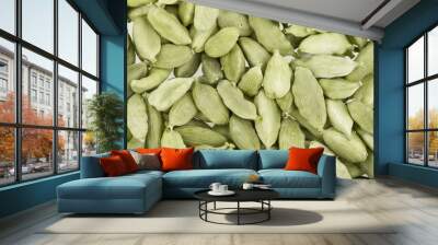 Cardamom whole Wall mural