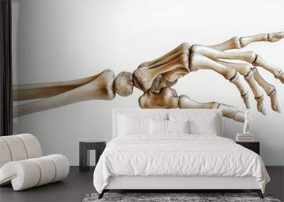 Image of skeletal hands and human fingers extending from the viewer. white background Wall mural