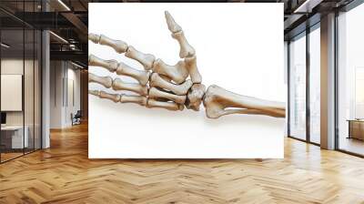 Image of skeletal hands and human fingers extending from the viewer. white background Wall mural