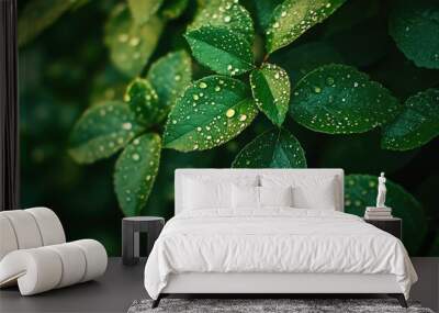 A close-up of dew-covered leaves in the early morning, capturing the beauty of nature in a serene forest. Wall mural