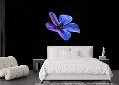 A wildflower in partial bloom, half-illuminated by soft light, with the rest fading into the black background, evoking mystery and natural beauty. Wall mural