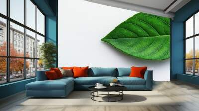 A vibrant green leaf resting on a white background, symbolizing nature and freshness for various creative projects. Wall mural