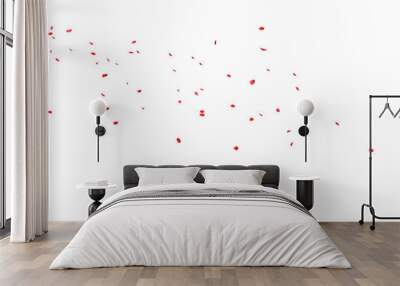 Red rose petals Blowing in the wind on a white background. Wall mural