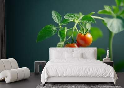 Two ripe tomatoes with green leaves Wall mural