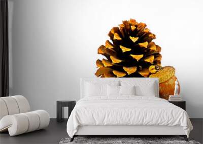 Red oak acorns and pine cone isolate on white background. Wall mural