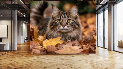 A cat with striking eyes sits amidst colorful autumn leaves. Wall mural