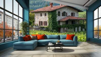 A charming stone house surrounded by lush vineyards in a tranquil landscape. Wall mural