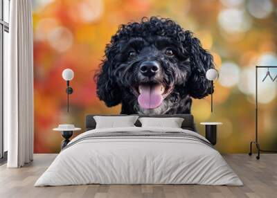 A cheerful black dog with curly fur smiles against a colorful autumn background. Wall mural