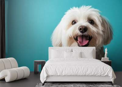 A cheerful white dog with a happy expression against a blue background. Wall mural