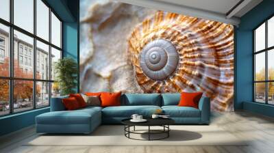 A close-up of a beautifully patterned seashell resting on a textured surface. Wall mural