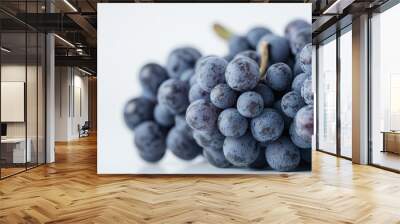 A close-up of clusters of dark blue grapes against a light background. Wall mural