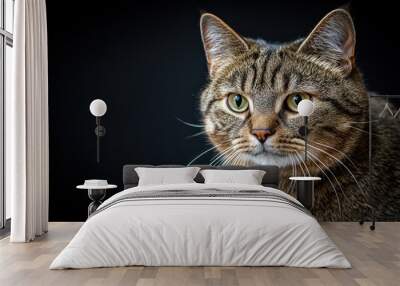 A close-up portrait of a tabby cat with striking green eyes against a dark background. Wall mural