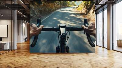 A cyclist's perspective on a winding road, capturing the thrill of biking. Wall mural