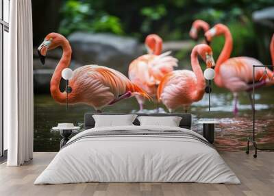 A group of flamingos wading in a serene water setting surrounded by lush greenery. Wall mural