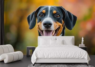 A happy dog with a playful expression in a colorful autumn setting. Wall mural