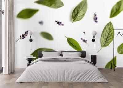 A serene composition of lavender flowers and green leaves on a white background. Wall mural