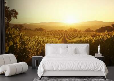 A serene vineyard landscape at sunset, showcasing rows of grapevines under a golden sky. Wall mural