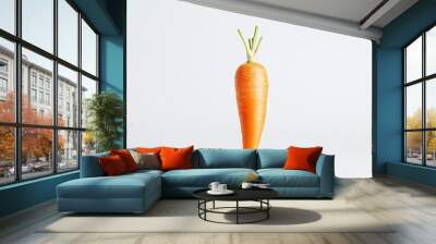 A single orange carrot with green tops against a plain white background. Wall mural