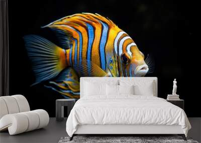 A vibrant, colorful fish swimming gracefully in a dark aquatic environment. Wall mural